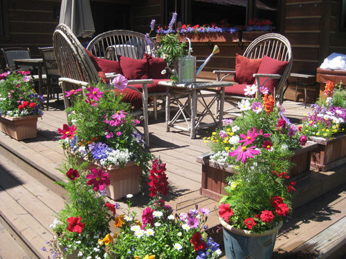 Teton View Bed And Breakfast Wilson Exterior photo